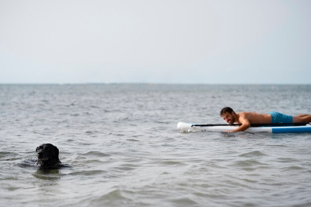 Dog having fun at the beach