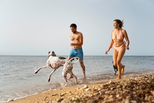 Dog having fun at the beach