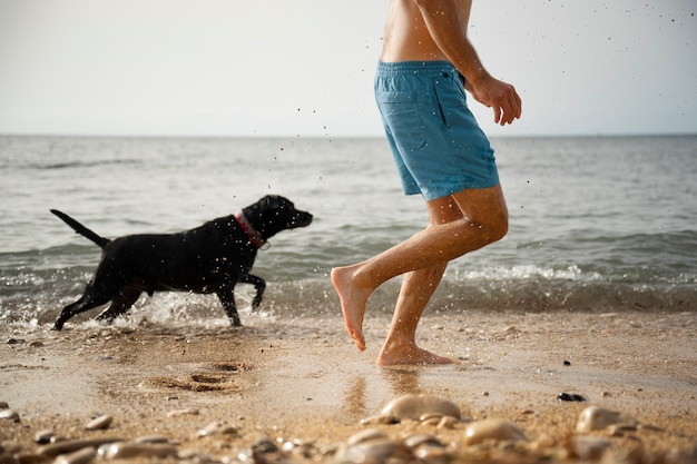 Dog having fun at the beach