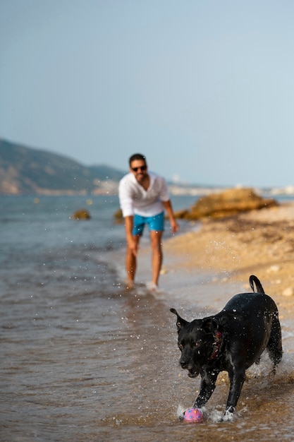 Dog having fun at the beach