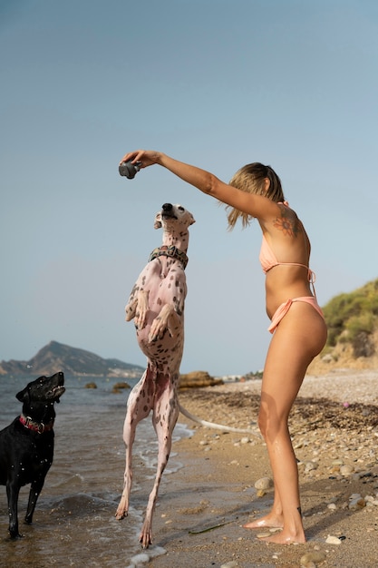 Dog having fun at the beach