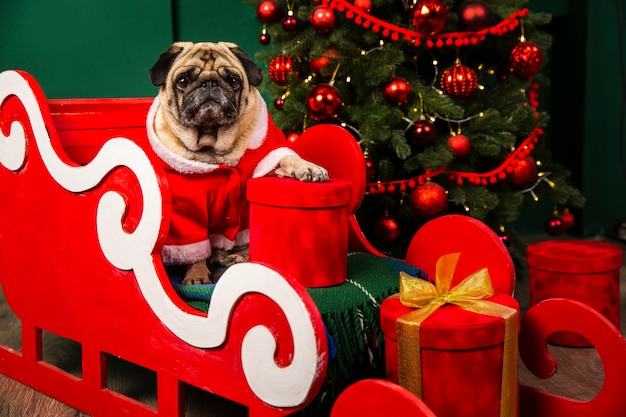 Free photo dog santa riding santa sleight for christmas