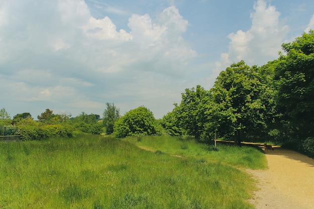 Dog standing on the road in Lodmoor Country Park, Weymouth, Dorset in summer