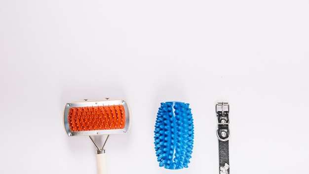 Free Photo dog toy between comb and collar