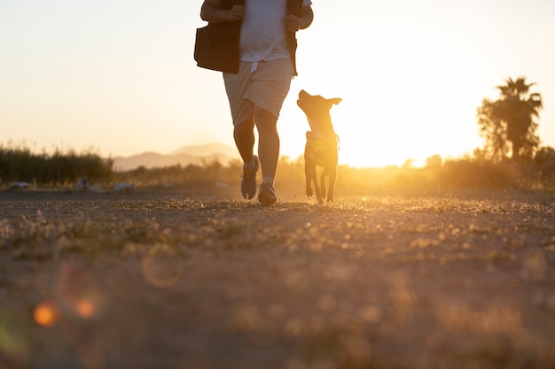 Dog trainer bounding with dog