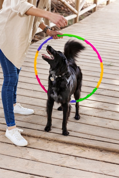 Dog trainer interacting with their pet