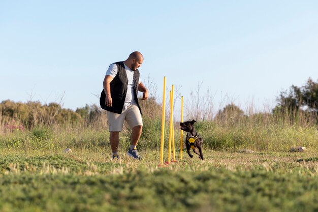 Dog trainer teaching dog to run though obstacles