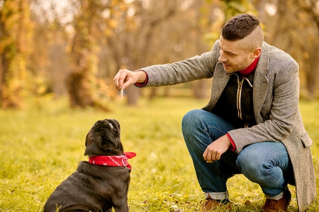 Free photo dog training. a man training his dog in the park