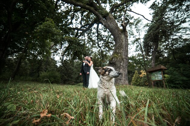 Dog with a couple in the background