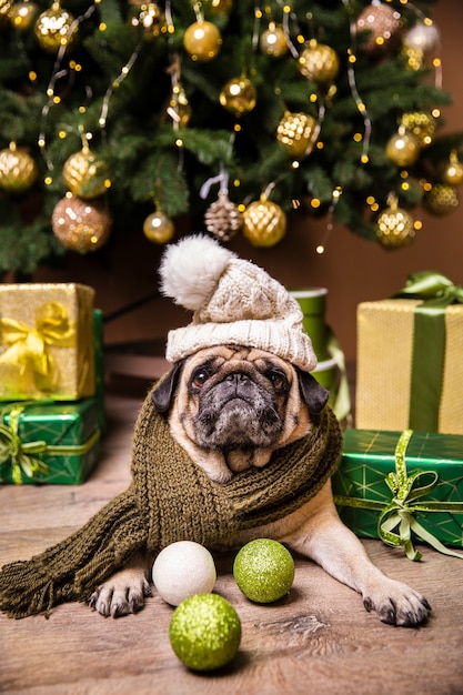 Free photo dog with hat taking care of gifts prepared for christmas