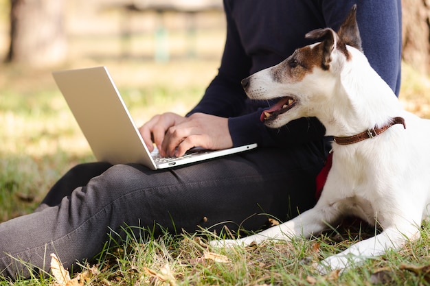 Free Photo dog with owner and laptop