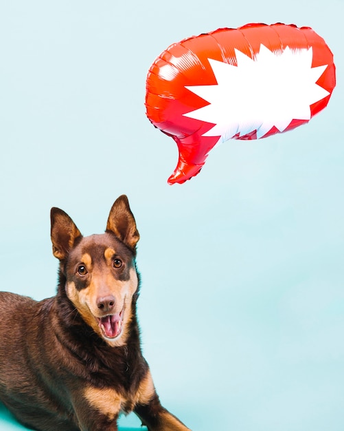 Free photo dog with speech bubble concept