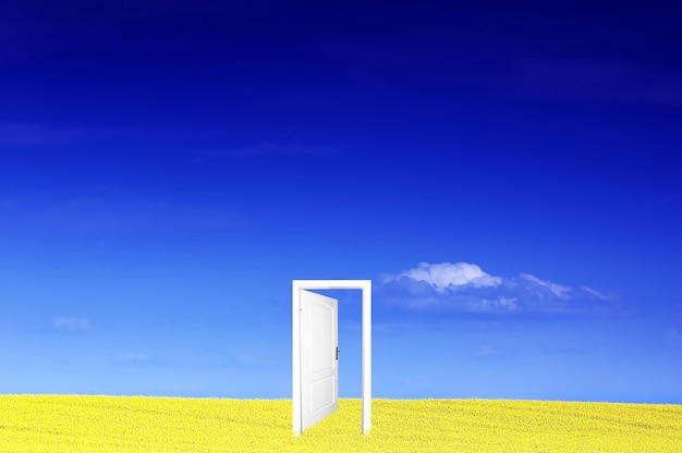 Free Photo door in a yellow field