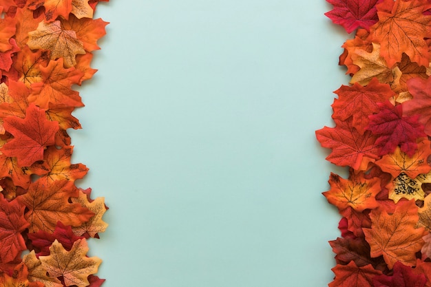 Free Photo double sided flat lay of autumn leaves