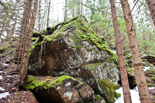 Dovbush rocks in green forest at Carpathian mountains