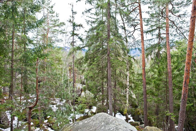 Dovbush rocks in green forest at Carpathian mountains