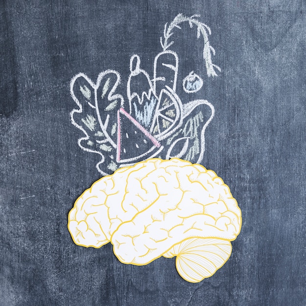 Free Photo drawn vegetables over the brain on chalkboard