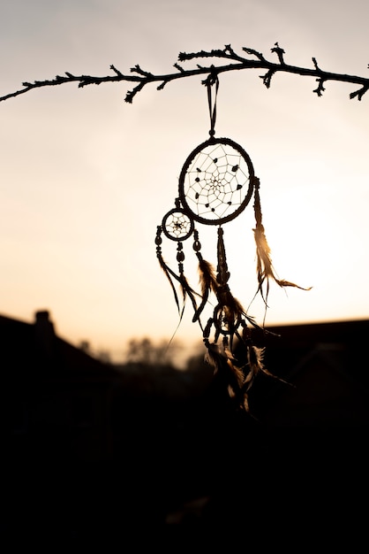 Free Photo dreamcatcher tied to a branch at the sunset