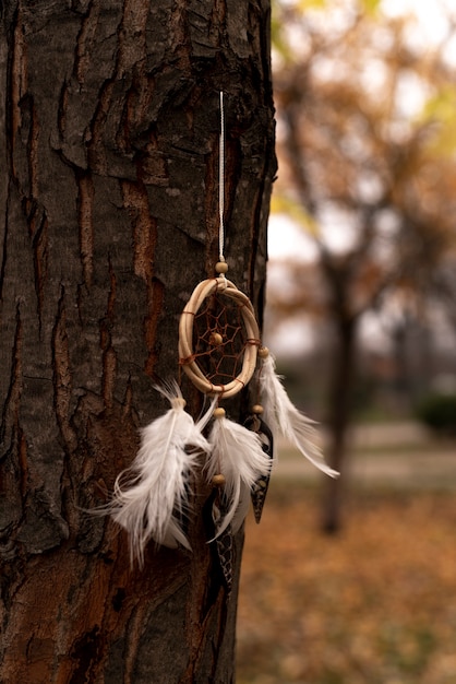 Free Photo dreamcatcher tied to a tree in the park