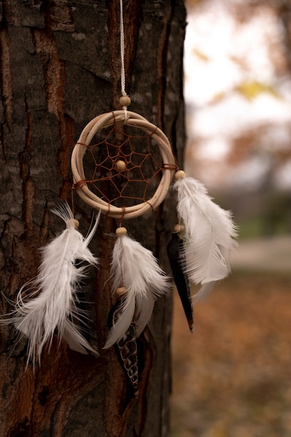 Dreamcatcher tied to a tree in the park