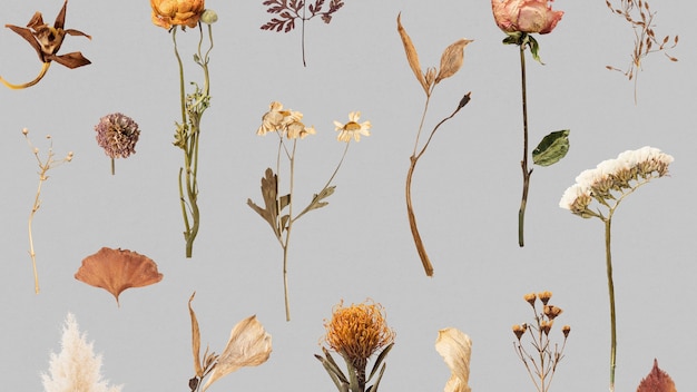 Free Photo dried flower and leaf patterned