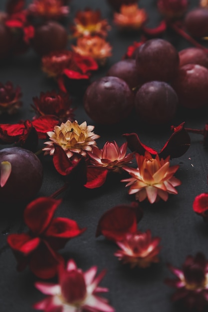 Free photo dried flowers and grapes