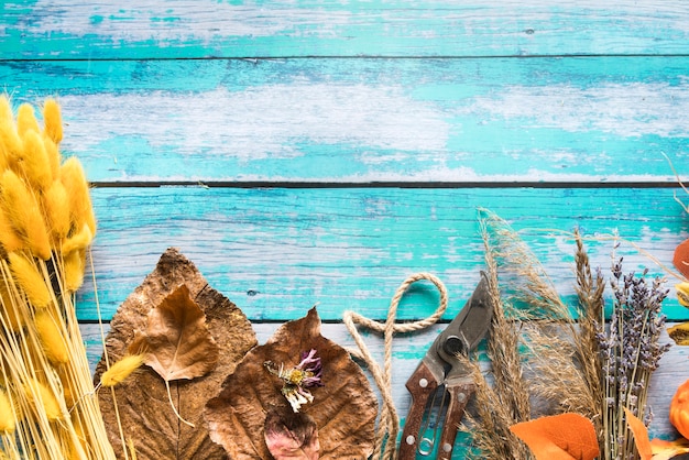 Free Photo dried flowers and leaves on table