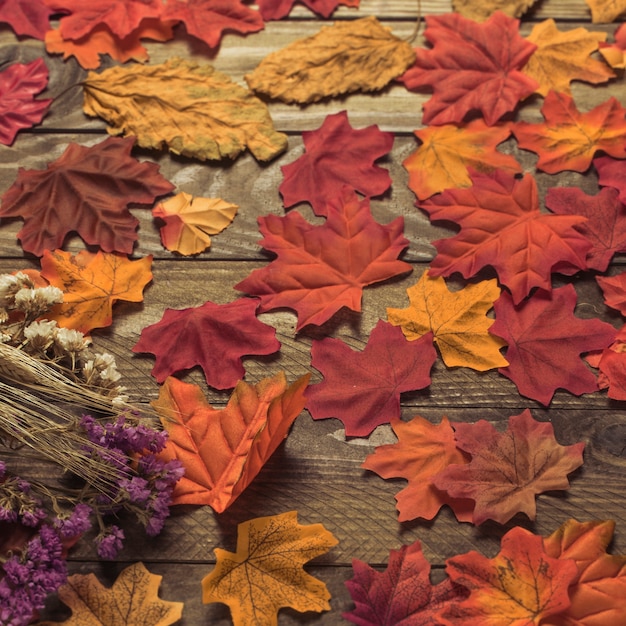 Free photo dried flowers on leaves