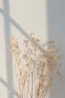 Free photo dried gypsophila with window shadow on a beige wall