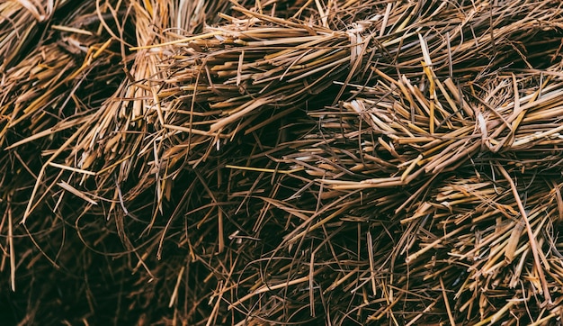 Free photo dried hay or straw with grains