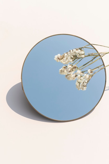 Free photo dried white statice flower over a round mirror