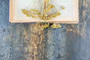 Free photo dried yellow flowers on top of open book.