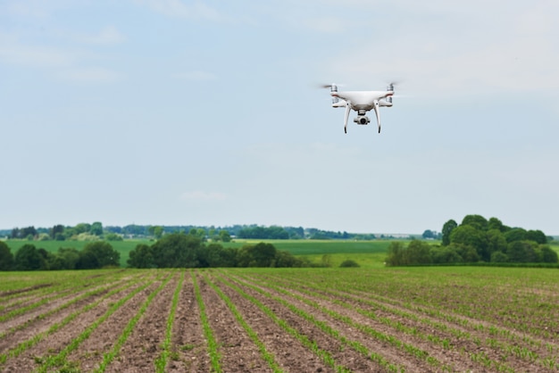 Drone quad copter with high resolution digital camera on green corn field,