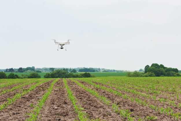 Drone quad copter with high resolution digital camera on green corn field