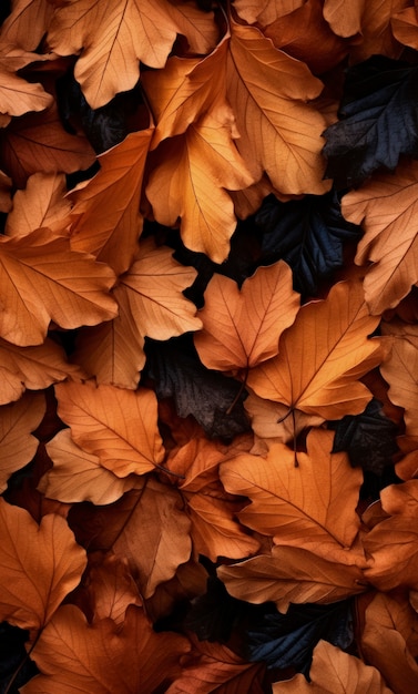 Free photo dry autumn foliage