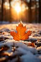 Free photo dry autumn leaves with snow during beginning of winter