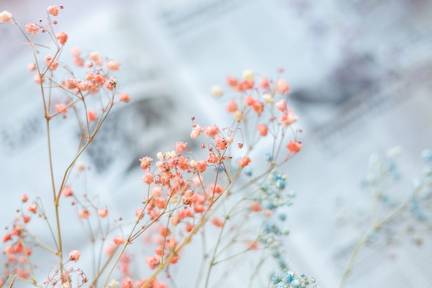 Free photo dry flowers on the surface of the newspaper, selective focus, spring mood