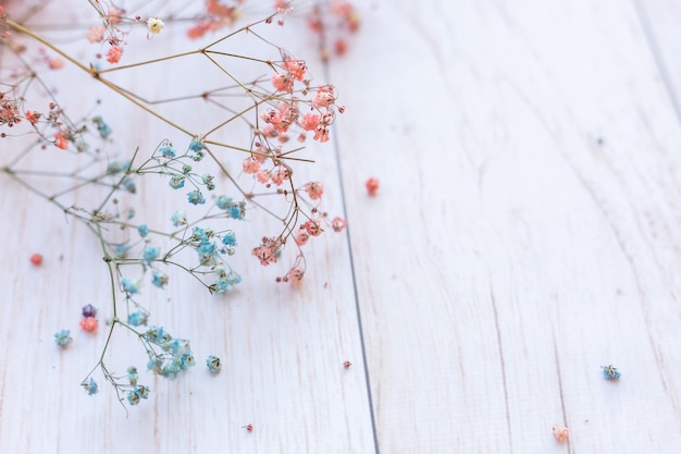 Dry flowers on wooden surface, selective focus, spring mood