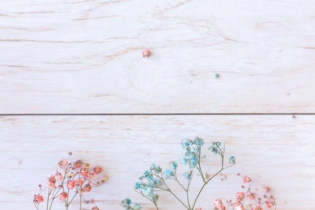 Free photo dry flowers on wooden surface, selective focus, spring mood