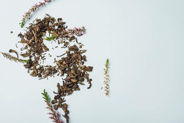 Dry lavender petals on white background