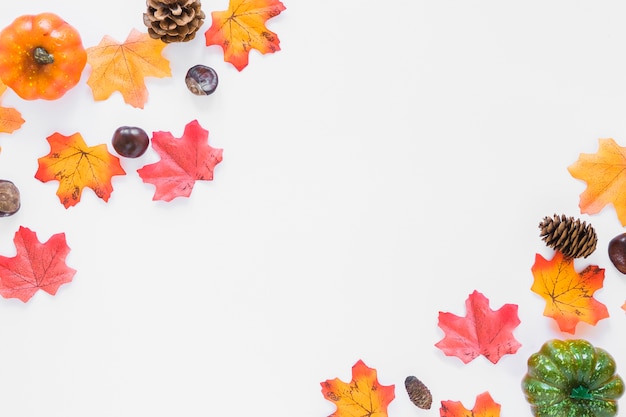 Dry leaves and vegetables 