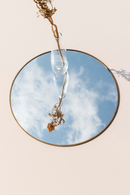 Free photo dry orange ranunculus in a clear vase on a mirror