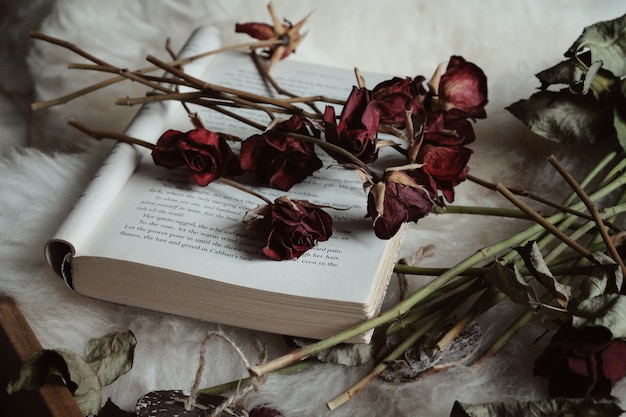 Free Photo dry roses on an open book on the table under the lights