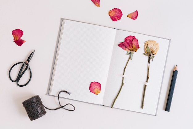 Free photo dry roses stuck on white page of notebook with scissor; spool and pencil against black background