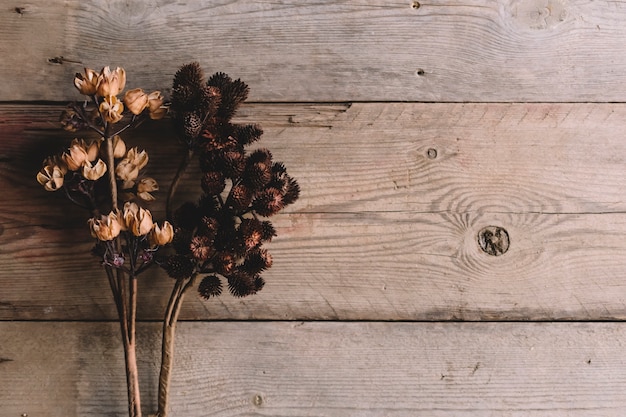 Free photo dry wildflowers on wooden texture