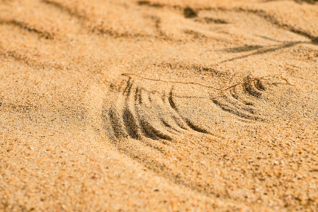 Free Photo dunes, drawings from grass on sand under gusts of wind on the black sea coast, selective focus on the lines. close-up.