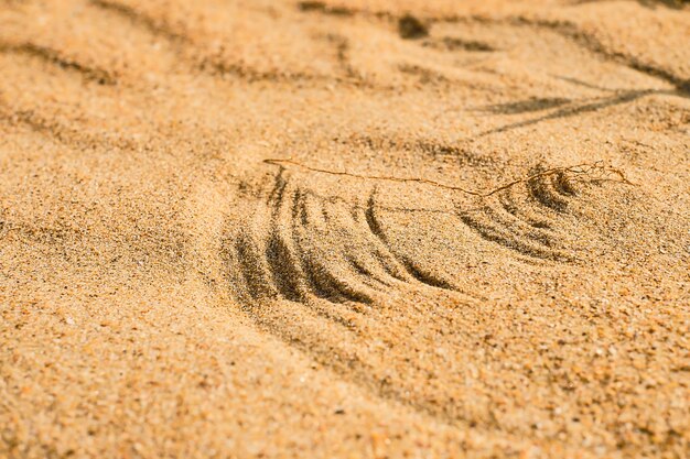 Dunes, drawings from grass on sand under gusts of wind on the Black Sea coast, selective focus on the lines. Close-up.