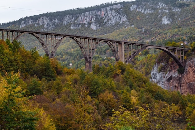 Free photo durdevica tara arc bridge in the autumn mountains montenegro