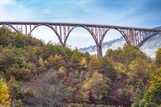 Durdevica Tara arc bridge in the autumn mountains Montenegro