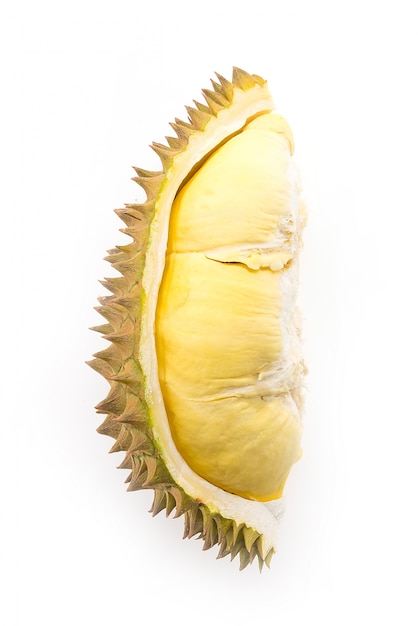 Free Photo durian fruit isolated